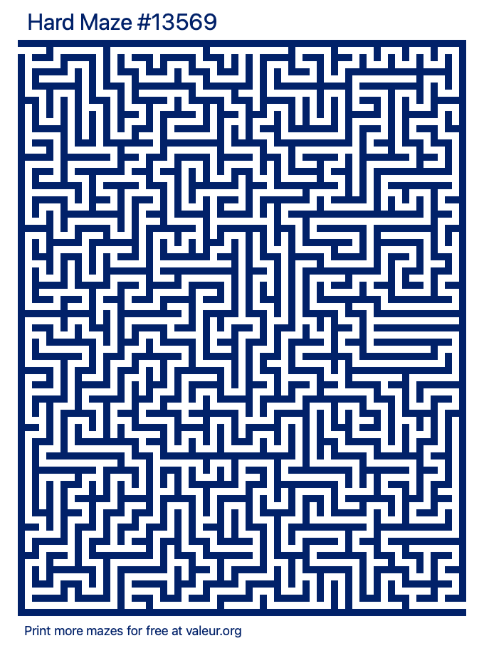 Free Printable Hard Maze number 13569