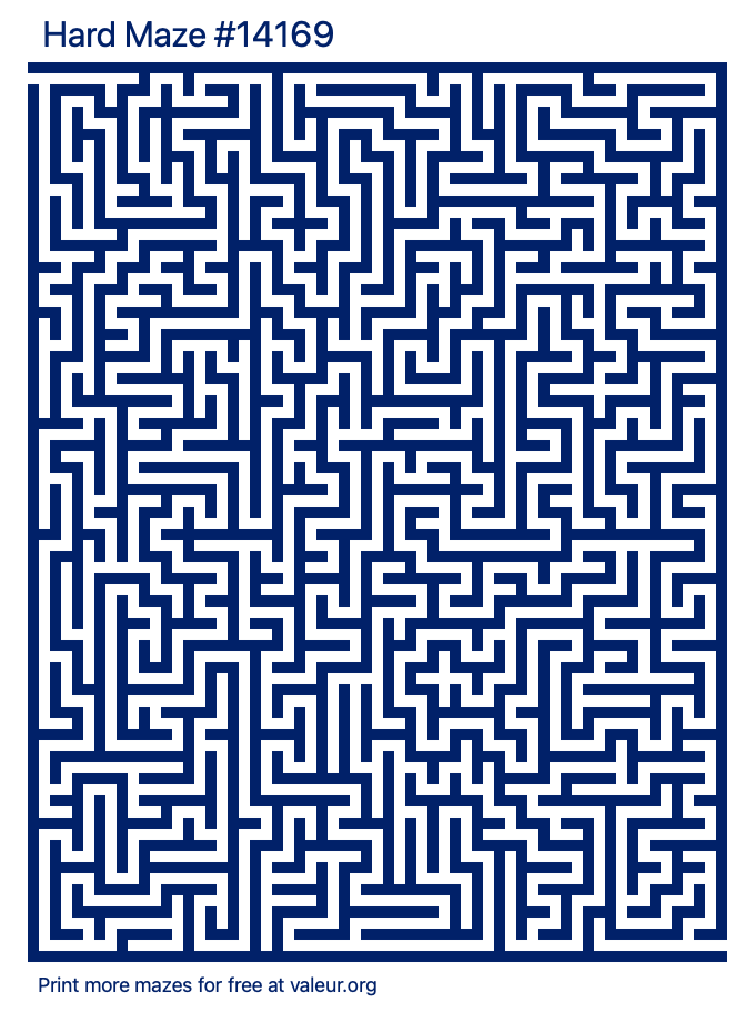 Free Printable Hard Maze number 14169