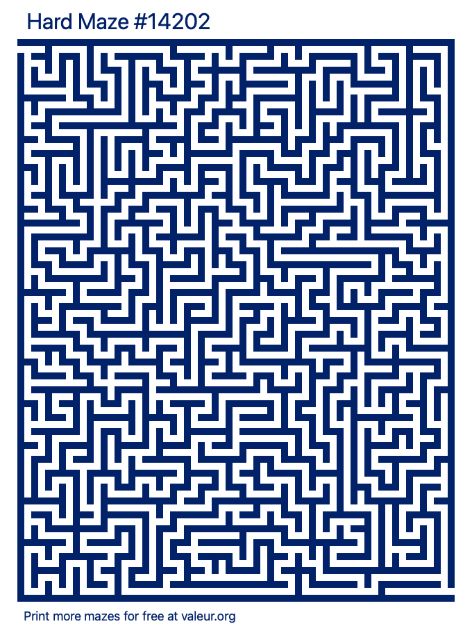 Free Printable Hard Maze number 14202