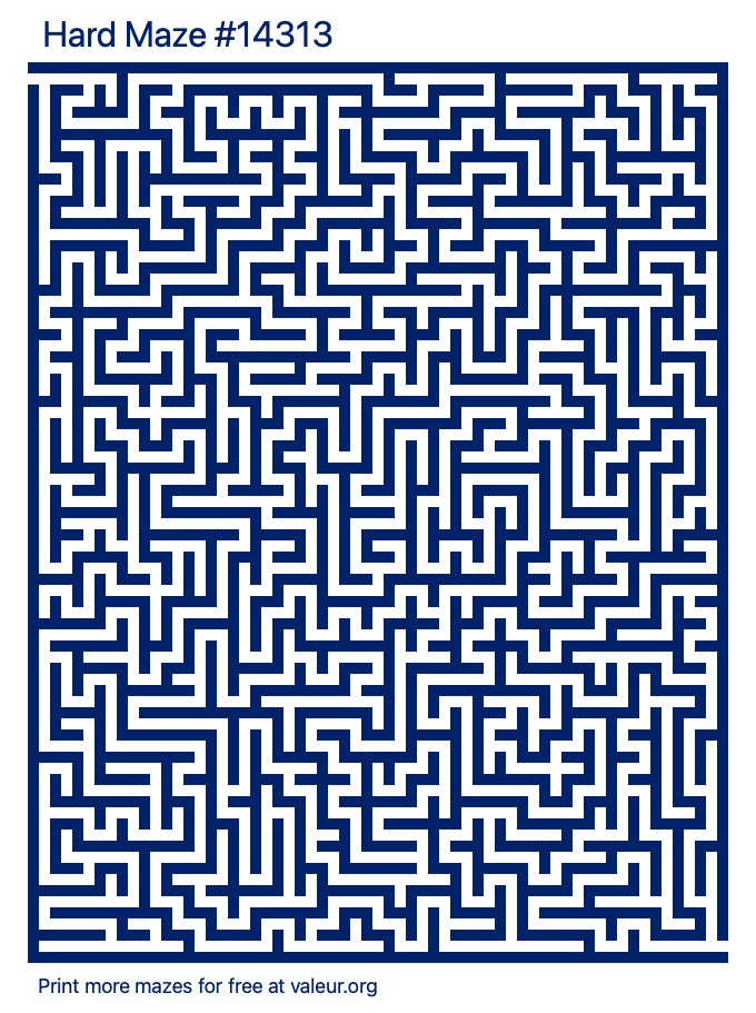 Free Printable Hard Maze number 14313