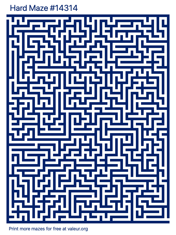 Free Printable Hard Maze number 14314