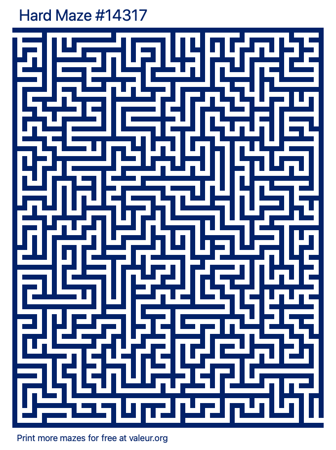 Free Printable Hard Maze number 14317