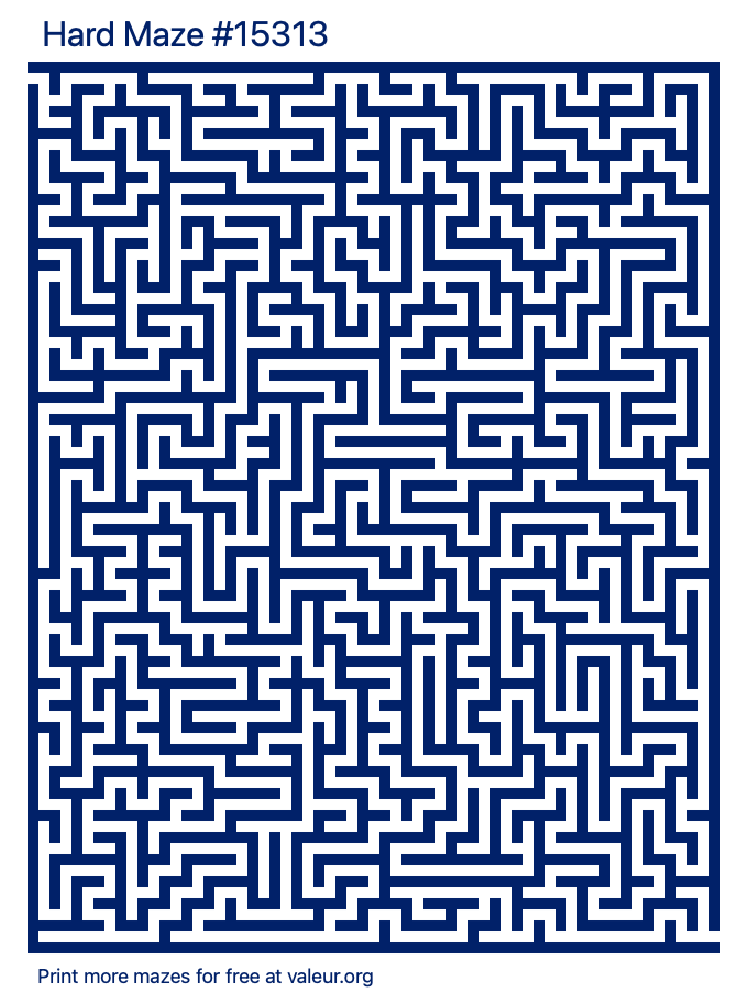 Free Printable Hard Maze number 15313