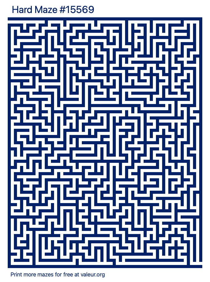 Free Printable Hard Maze number 15569