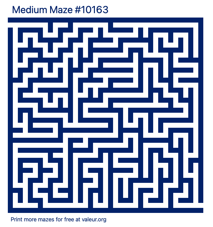 Free Printable Medium Maze number 10163