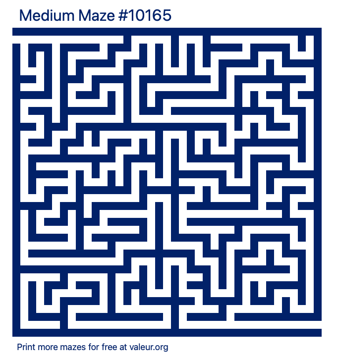 Free Printable Medium Maze number 10165