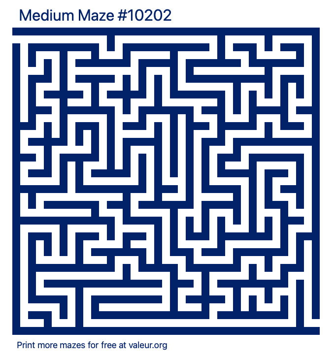Free Printable Medium Maze number 10202