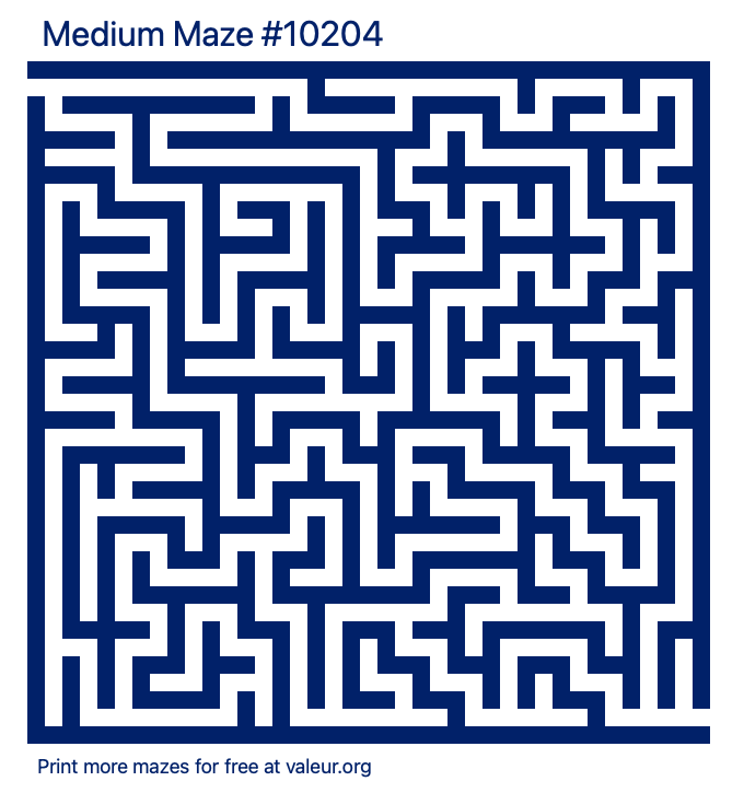 Free Printable Medium Maze number 10204