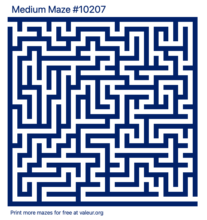 Free Printable Medium Maze number 10207