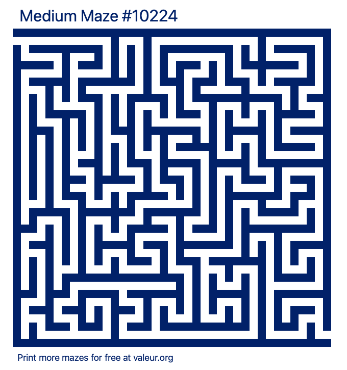 Free Printable Medium Maze number 10224