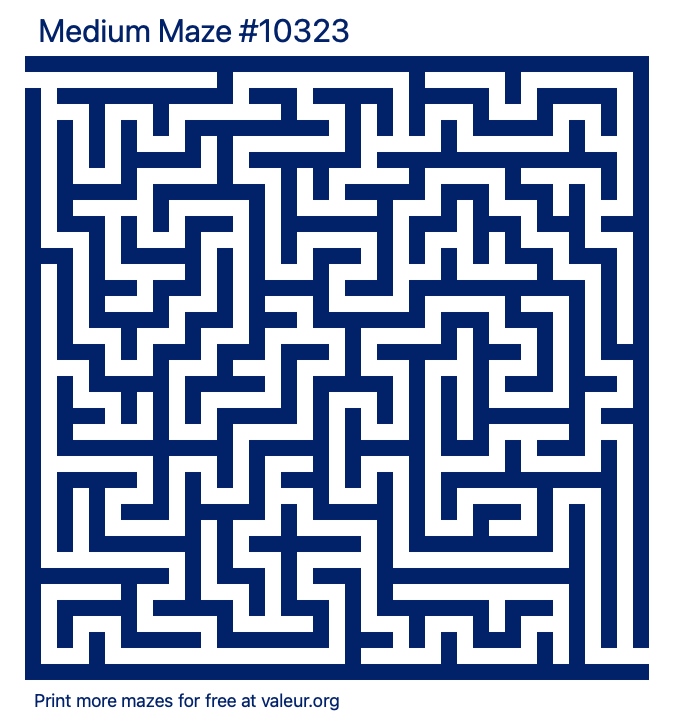 Free Printable Medium Maze number 10323