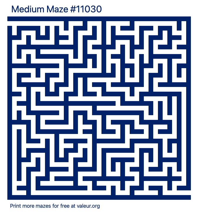Free Printable Medium Maze number 11030