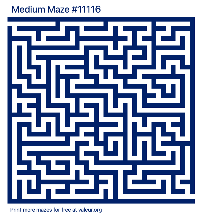 Free Printable Medium Maze number 11116