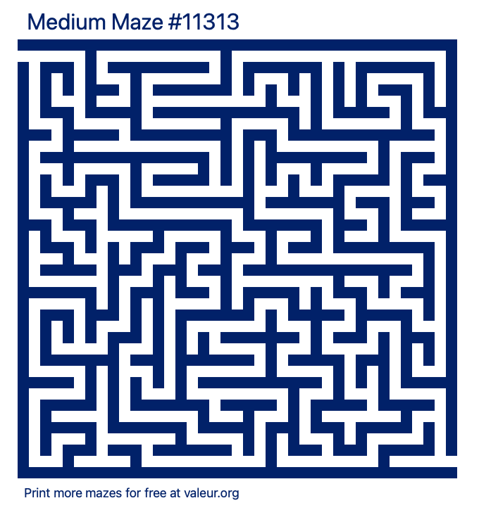 Free Printable Medium Maze number 11313