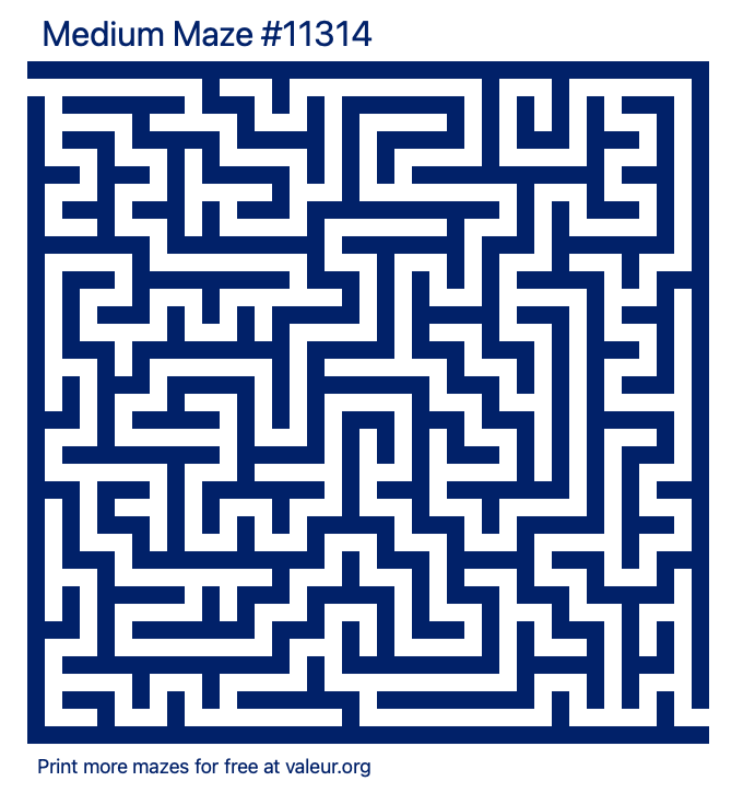 Free Printable Medium Maze number 11314