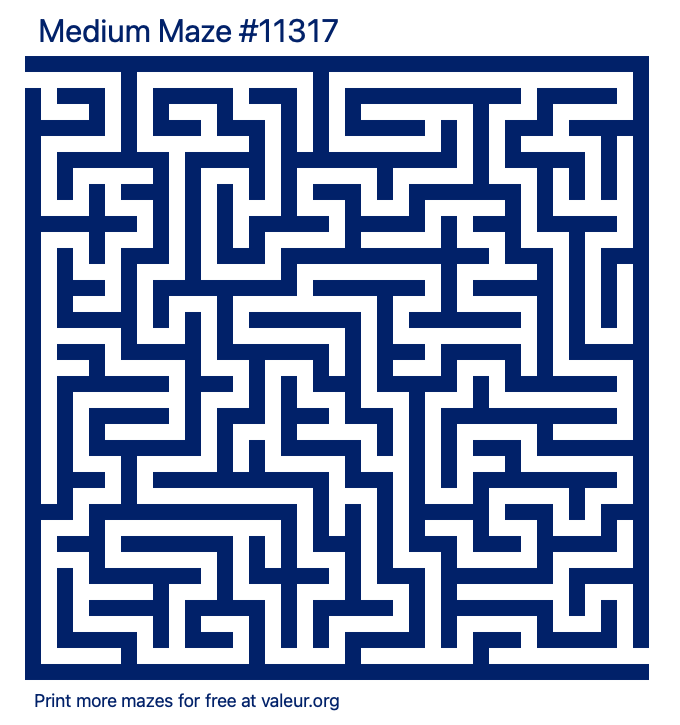 Free Printable Medium Maze number 11317