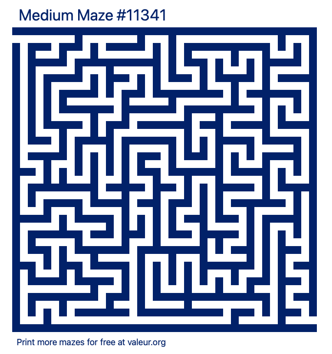 Free Printable Medium Maze number 11341
