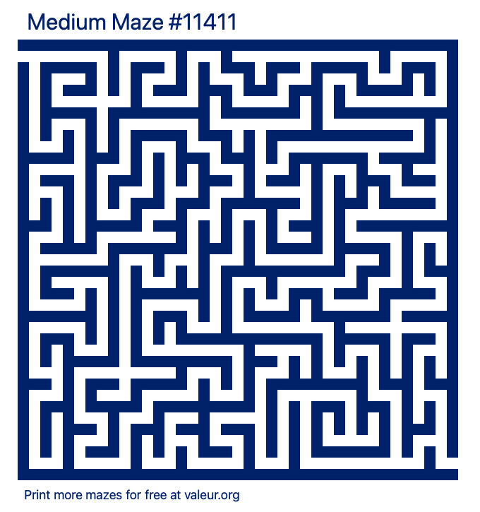Free Printable Medium Maze number 11411