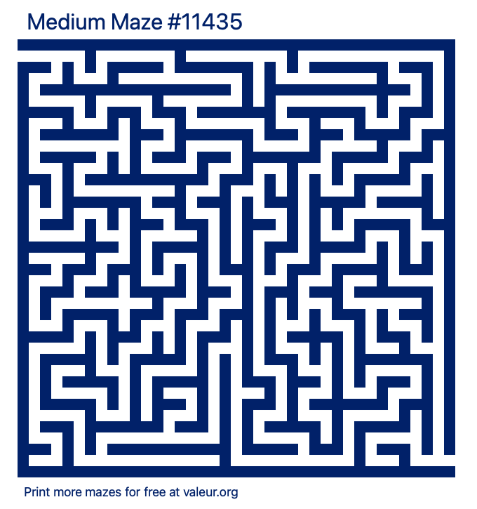 Free Printable Medium Maze number 11435