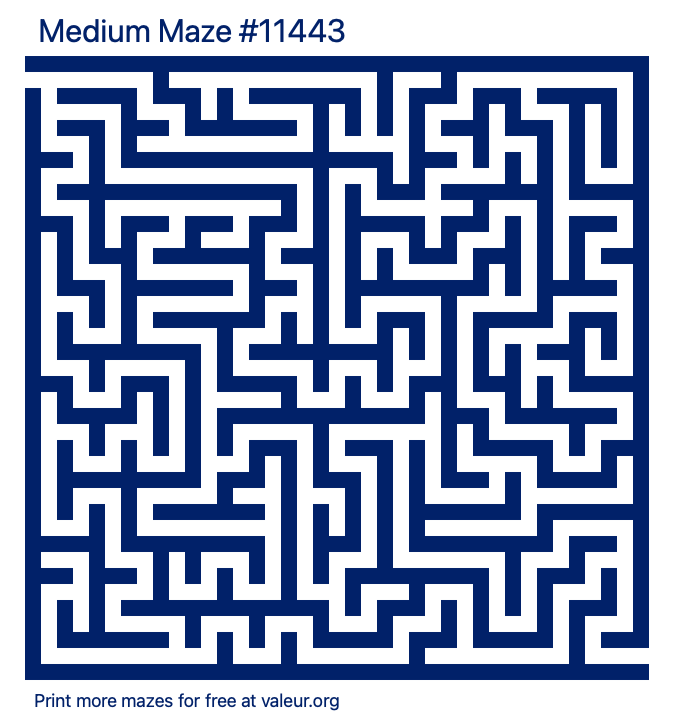 Free Printable Medium Maze number 11443