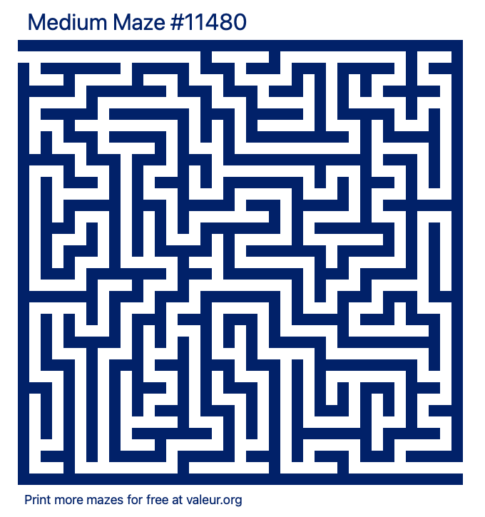 Free Printable Medium Maze number 11480