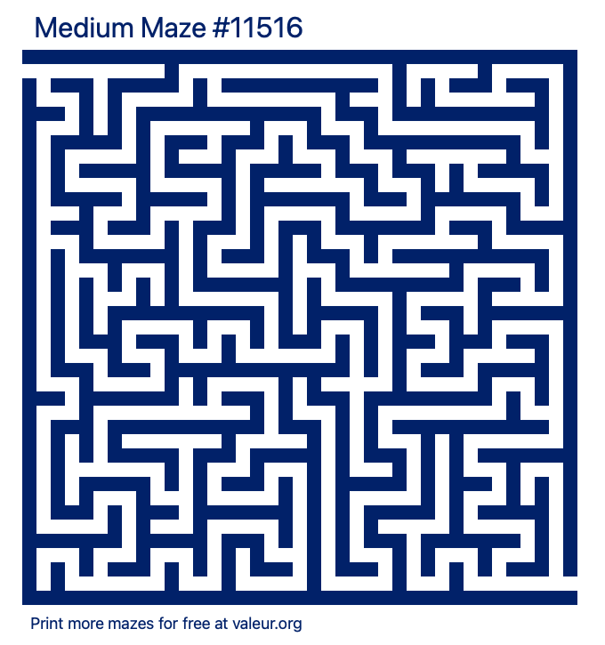 Free Printable Medium Maze number 11516