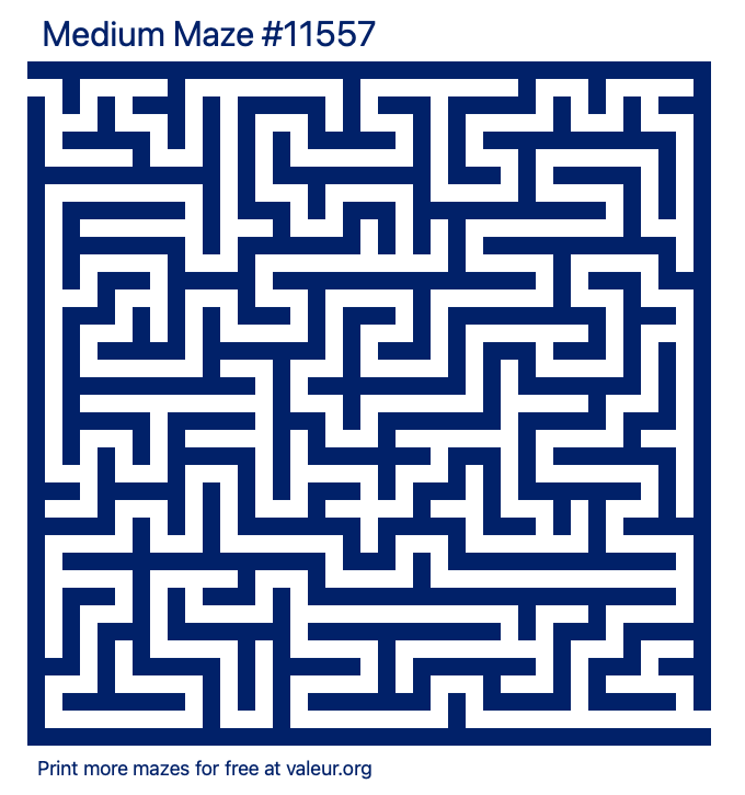 Free Printable Medium Maze number 11557