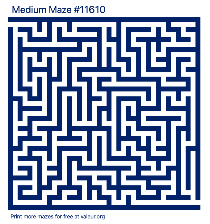 Free Printable Medium Maze number 11610