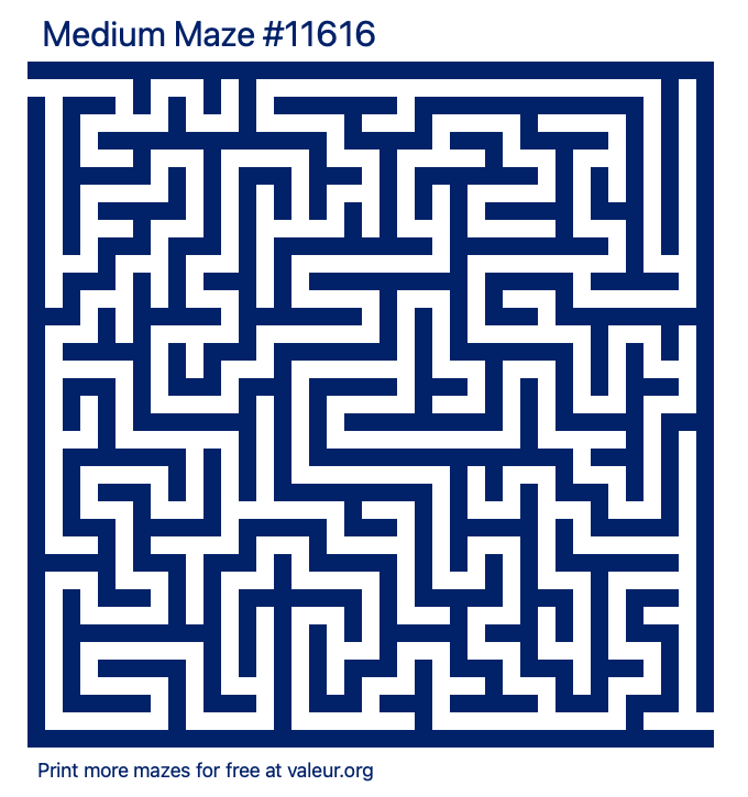Free Printable Medium Maze number 11616