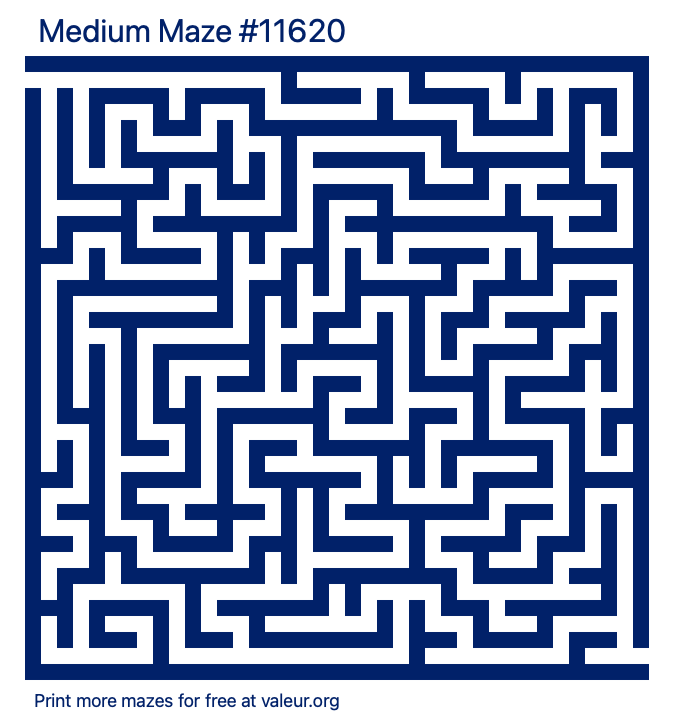 Free Printable Medium Maze number 11620