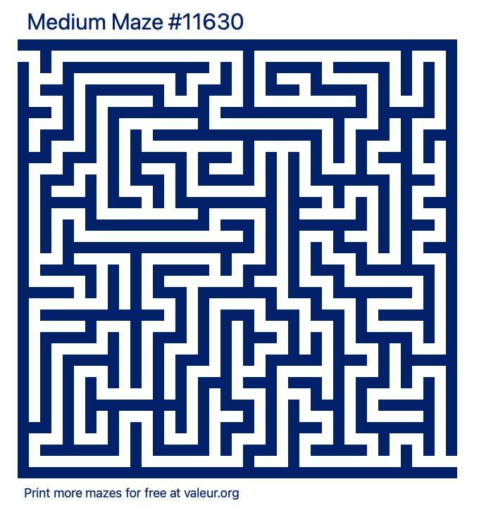 Free Printable Medium Maze number 11630