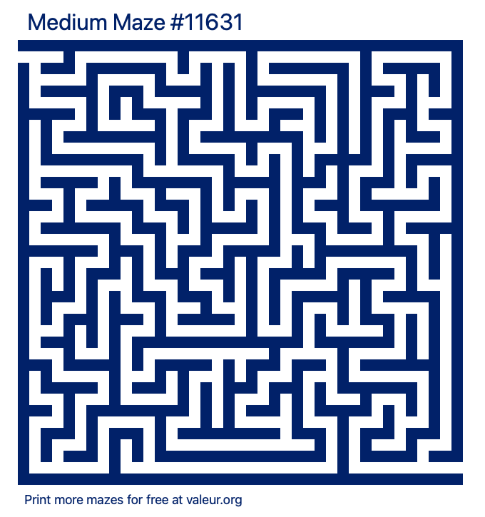 Free Printable Medium Maze number 11631
