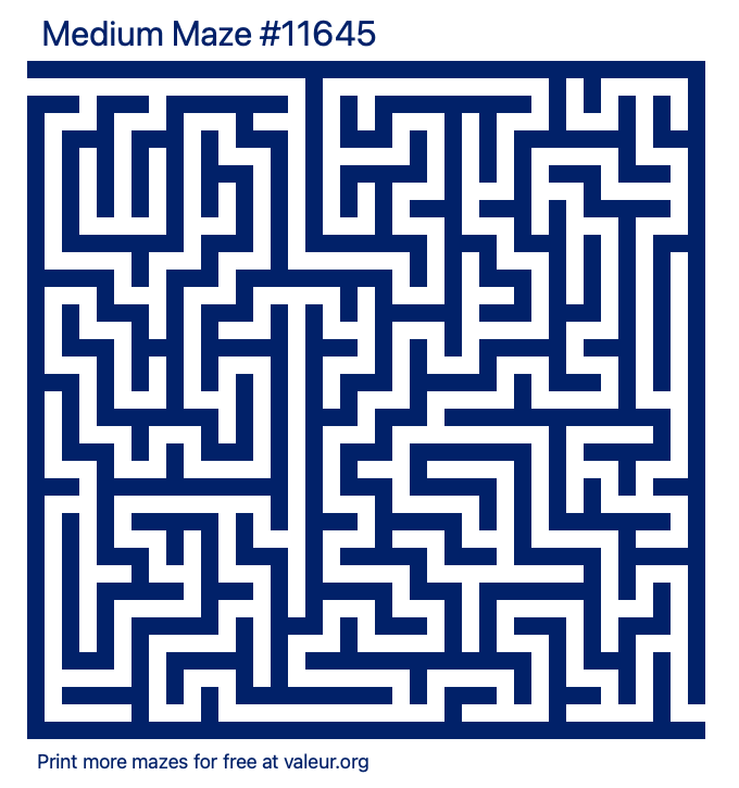 Free Printable Medium Maze number 11645