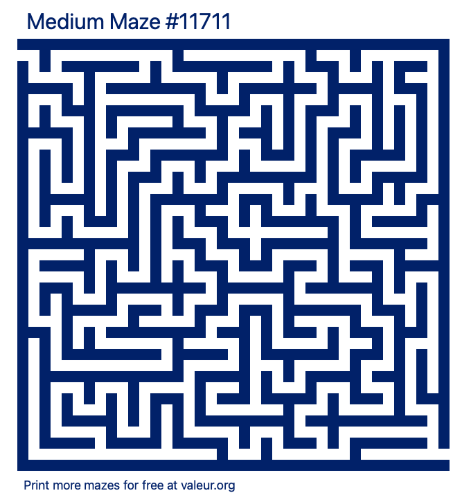 Free Printable Medium Maze number 11711