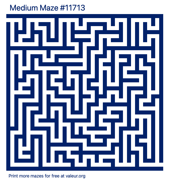 Free Printable Medium Maze number 11713