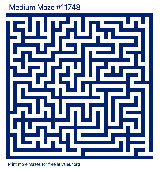 Free Printable Medium Maze number 11748