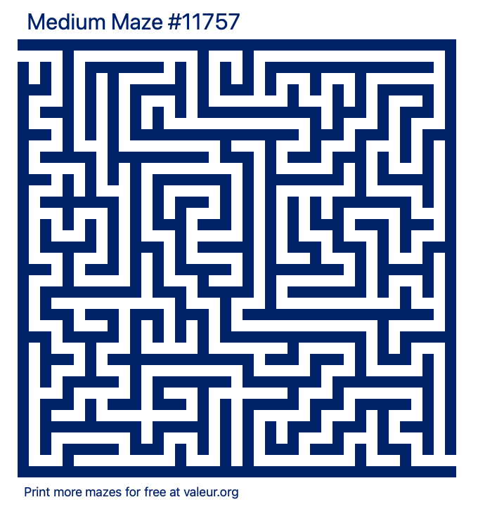 Free Printable Medium Maze number 11757