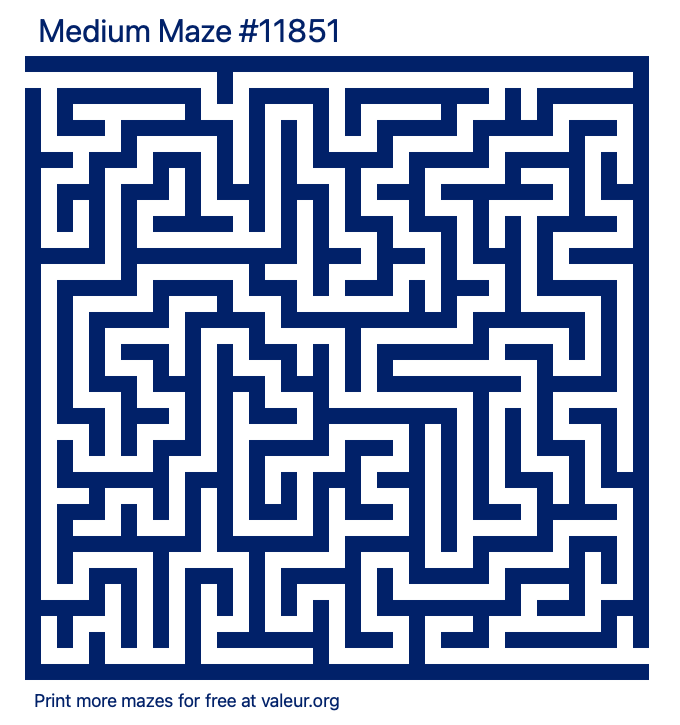 Free Printable Medium Maze number 11851