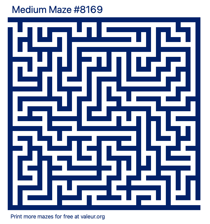 Free Printable Medium Maze number 8169