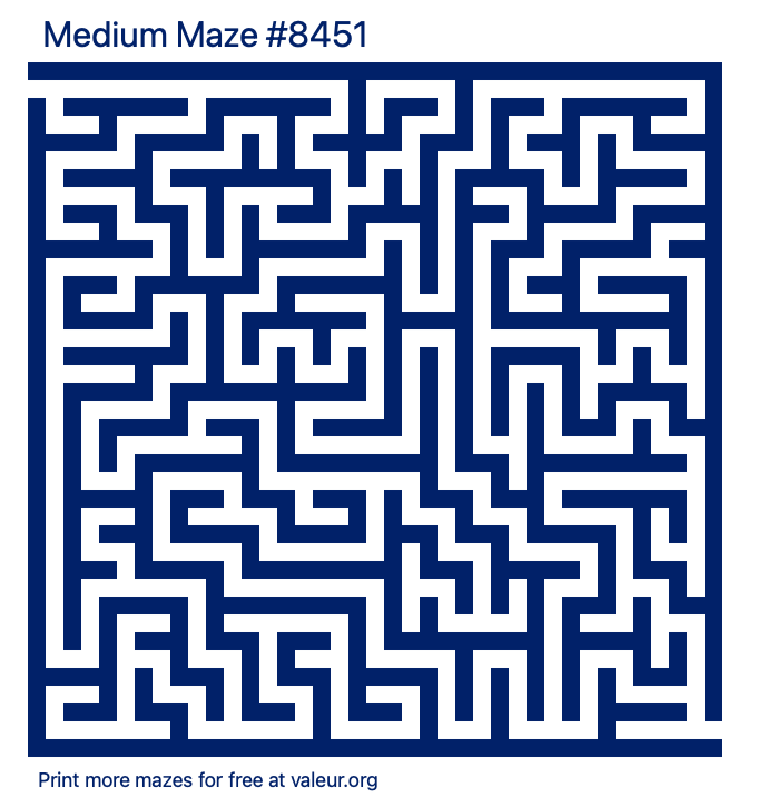 Free Printable Medium Maze number 8451