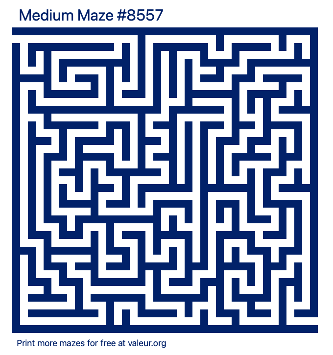 Free Printable Medium Maze number 8557