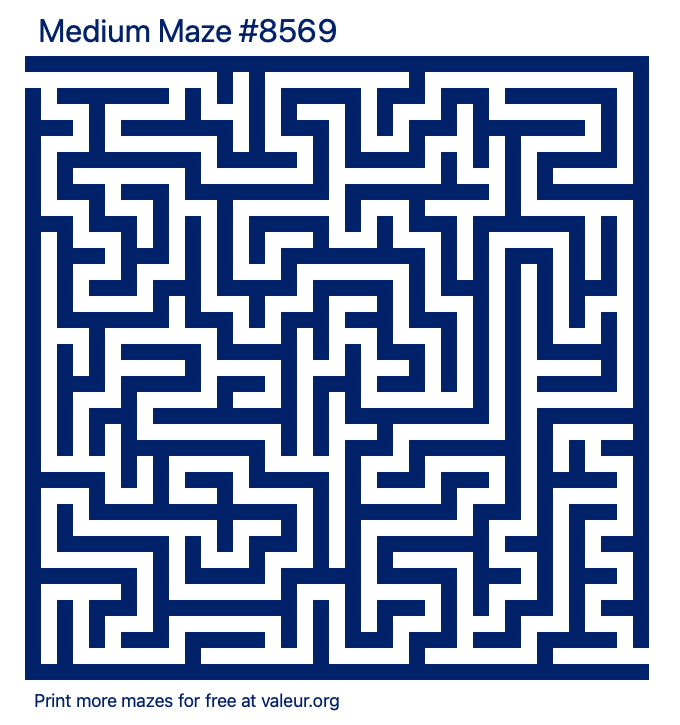 Free Printable Medium Maze number 8569