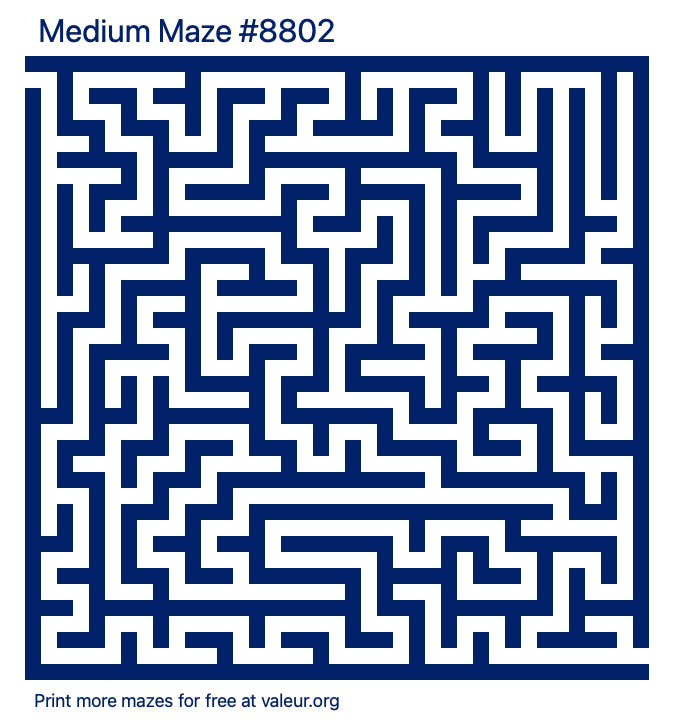Free Printable Medium Maze number 8802