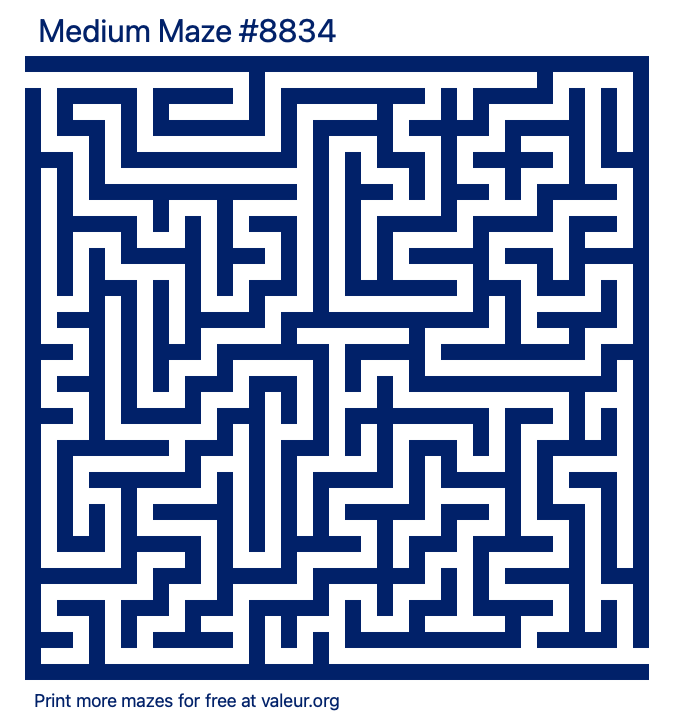 Free Printable Medium Maze number 8834