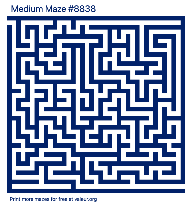 Free Printable Medium Maze number 8838