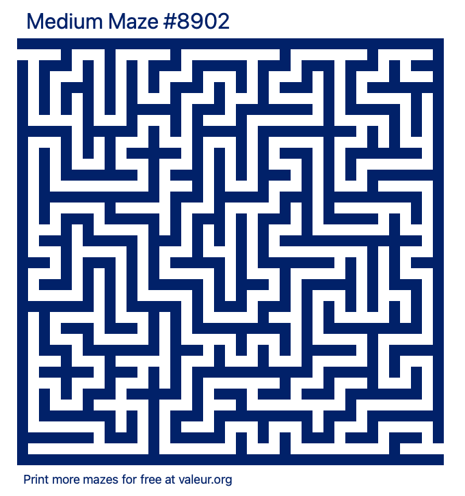 Free Printable Medium Maze number 8902