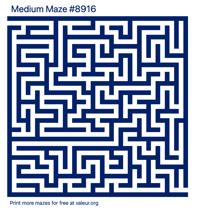 Free Printable Medium Maze number 8916