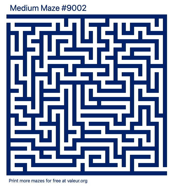 Free Printable Medium Maze number 9002