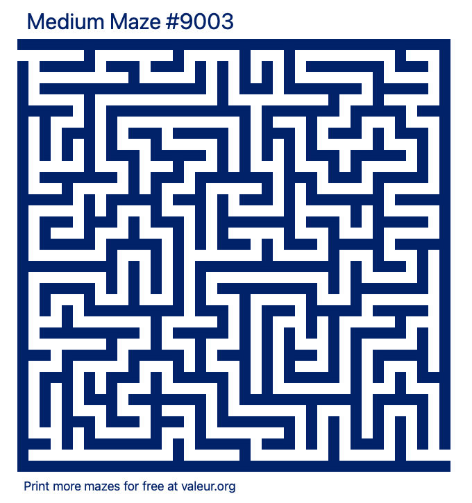 Free Printable Medium Maze number 9003