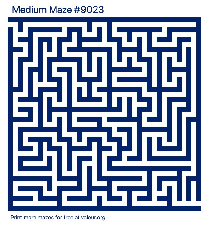 Free Printable Medium Maze number 9023